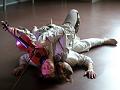 D-P2325-IMG_1437-5a aa